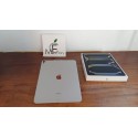iPad Pro 13" Chip M4 - Modelo Wifi - 256GB